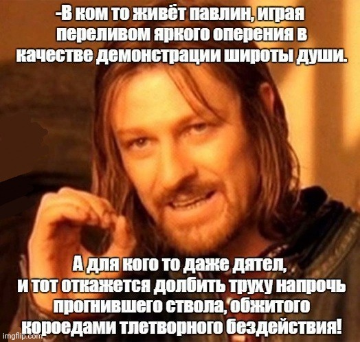 -Something inside my honour. | image tagged in foreign policy,slavic lives matter,dead inside,birds of a feather,lotr,one does not simply | made w/ Imgflip meme maker