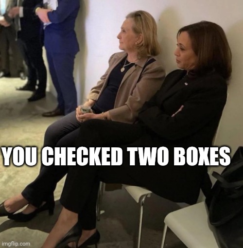 In A Woke Society | YOU CHECKED TWO BOXES | image tagged in hillary clinton and kamala harris,45,47 | made w/ Imgflip meme maker