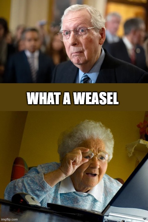 WHAT A WEASEL | image tagged in memes,grandma finds the internet | made w/ Imgflip meme maker