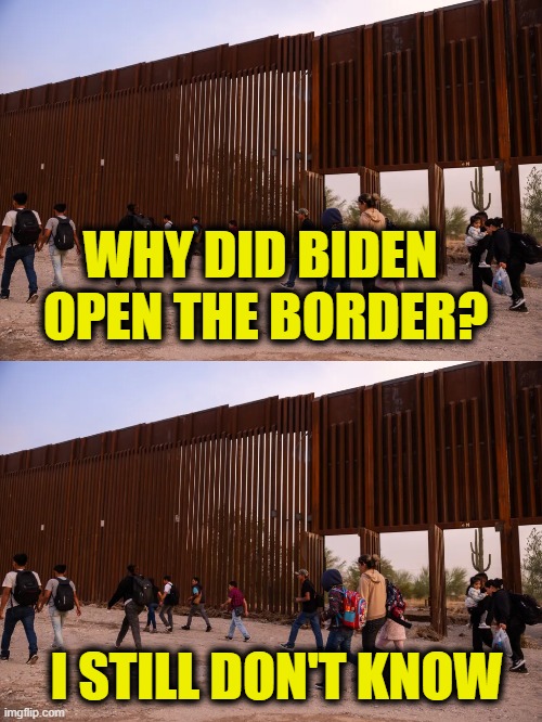 More Leftist Logic | WHY DID BIDEN 
OPEN THE BORDER? I STILL DON'T KNOW | image tagged in immigration | made w/ Imgflip meme maker