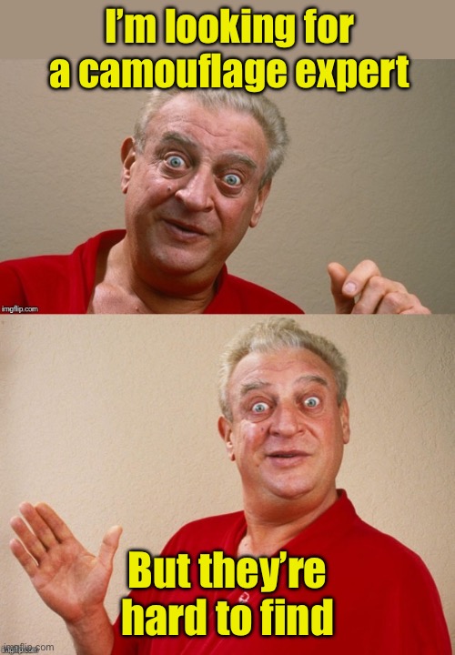 Hard to find | I’m looking for a camouflage expert; But they’re hard to find | image tagged in rodney dangerfield,camouflage,expert | made w/ Imgflip meme maker