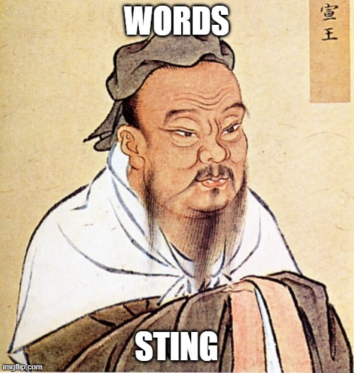 Confucius Says | WORDS STING | image tagged in confucius says | made w/ Imgflip meme maker