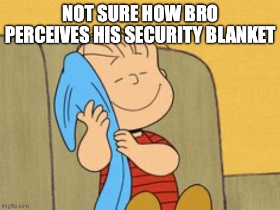 Not sure how bro perceives his blanket: | NOT SURE HOW BRO PERCEIVES HIS SECURITY BLANKET | image tagged in linus and his blanket,funny,peanuts,linus,blanket | made w/ Imgflip meme maker