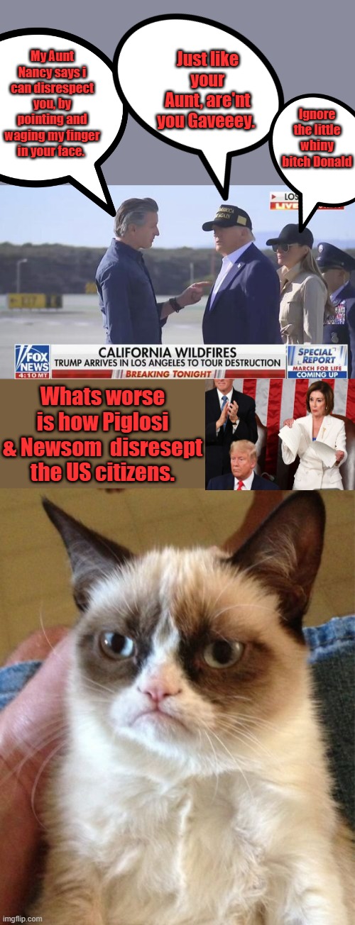 Not good optics Gaveeey .. millions of your fellow CAL citizens hate you. | Just like your Aunt, are'nt you Gaveeey. My Aunt Nancy says i can disrespect you, by pointing and waging my finger in your face. Ignore the little whiny bitch Donald; Whats worse is how Piglosi & Newsom  disresept the US citizens. | image tagged in memes,grumpy cat | made w/ Imgflip meme maker