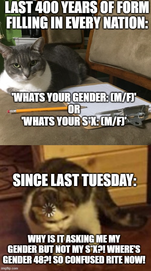 Gender and s*x are the same thing. Everybody knew this until last week | LAST 400 YEARS OF FORM FILLING IN EVERY NATION:; 'WHATS YOUR GENDER: (M/F)'
OR
'WHATS YOUR S*X: (M/F)'; SINCE LAST TUESDAY:; WHY IS IT ASKING ME MY GENDER BUT NOT MY S*X?! WHERE'S GENDER 48?! SO CONFUSED RITE NOW! | image tagged in kitty paperwork,loading cat | made w/ Imgflip meme maker