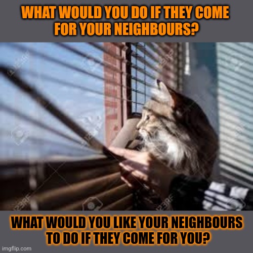 This #lolcat wonders what you would do if they come for your neighbours | WHAT WOULD YOU DO IF THEY COME 
FOR YOUR NEIGHBOURS? WHAT WOULD YOU LIKE YOUR NEIGHBOURS 
TO DO IF THEY COME FOR YOU? | image tagged in nazis,fascism,lolcat,think about it | made w/ Imgflip meme maker