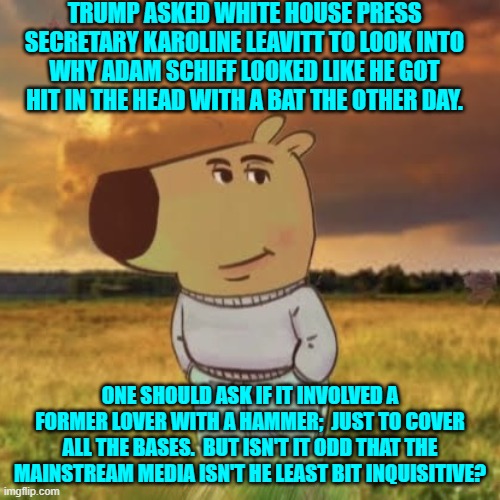 Why don't you ALWAYS curious leftists want to know?  Because I for one, would love to know. | TRUMP ASKED WHITE HOUSE PRESS SECRETARY KAROLINE LEAVITT TO LOOK INTO WHY ADAM SCHIFF LOOKED LIKE HE GOT HIT IN THE HEAD WITH A BAT THE OTHER DAY. ONE SHOULD ASK IF IT INVOLVED A FORMER LOVER WITH A HAMMER;  JUST TO COVER ALL THE BASES.  BUT ISN'T IT ODD THAT THE MAINSTREAM MEDIA ISN'T HE LEAST BIT INQUISITIVE? | image tagged in chill guy | made w/ Imgflip meme maker