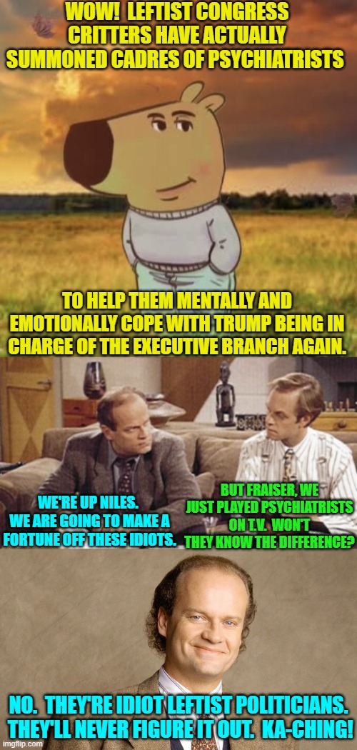 Mostly psychiatry is one big leftist con to begin with. | WOW!  LEFTIST CONGRESS CRITTERS HAVE ACTUALLY SUMMONED CADRES OF PSYCHIATRISTS; TO HELP THEM MENTALLY AND EMOTIONALLY COPE WITH TRUMP BEING IN CHARGE OF THE EXECUTIVE BRANCH AGAIN. BUT FRAISER, WE JUST PLAYED PSYCHIATRISTS ON T.V.  WON'T THEY KNOW THE DIFFERENCE? WE'RE UP NILES.  WE ARE GOING TO MAKE A FORTUNE OFF THESE IDIOTS. NO.  THEY'RE IDIOT LEFTIST POLITICIANS.  THEY'LL NEVER FIGURE IT OUT.  KA-CHING! | image tagged in chill guy | made w/ Imgflip meme maker