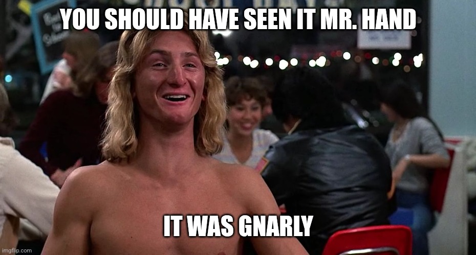 Gnarly | YOU SHOULD HAVE SEEN IT MR. HAND; IT WAS GNARLY | image tagged in sean penn,funny memes | made w/ Imgflip meme maker