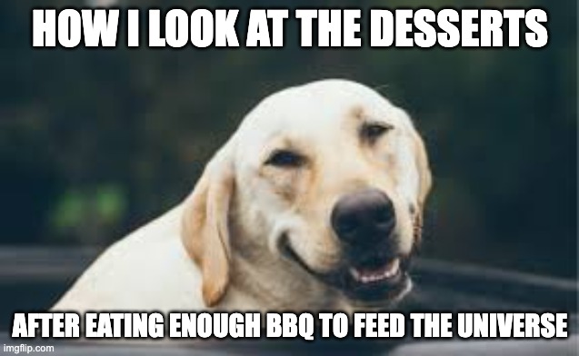 evil smiling dog | HOW I LOOK AT THE DESSERTS; AFTER EATING ENOUGH BBQ TO FEED THE UNIVERSE | image tagged in evil smiling dog,memes,funny,dog,food,relatable | made w/ Imgflip meme maker