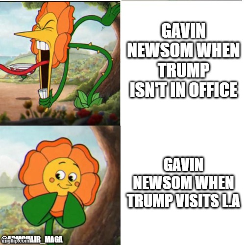 Giving Gavin | GAVIN NEWSOM WHEN TRUMP ISN'T IN OFFICE; GAVIN NEWSOM WHEN TRUMP VISITS L.A; @ARMCHAIR_MAGA | image tagged in cuphead flower | made w/ Imgflip meme maker