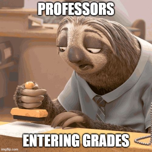 College professors.... | PROFESSORS; ENTERING GRADES | image tagged in slow sloth | made w/ Imgflip meme maker