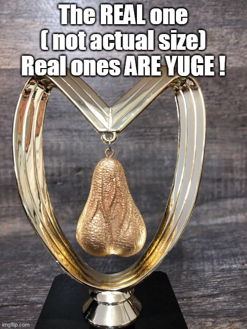 The REAL one
( not actual size)
Real ones ARE YUGE ! | made w/ Imgflip meme maker