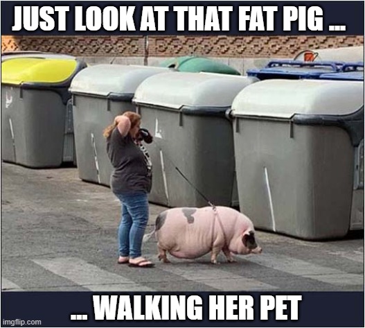 Much Needed Exercise ! | JUST LOOK AT THAT FAT PIG ... ... WALKING HER PET | image tagged in obese,woman,pig,dark humour | made w/ Imgflip meme maker