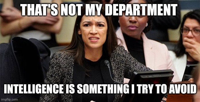 Intelligence | THAT'S NOT MY DEPARTMENT; INTELLIGENCE IS SOMETHING I TRY TO AVOID | image tagged in confused aoc,funny memes | made w/ Imgflip meme maker