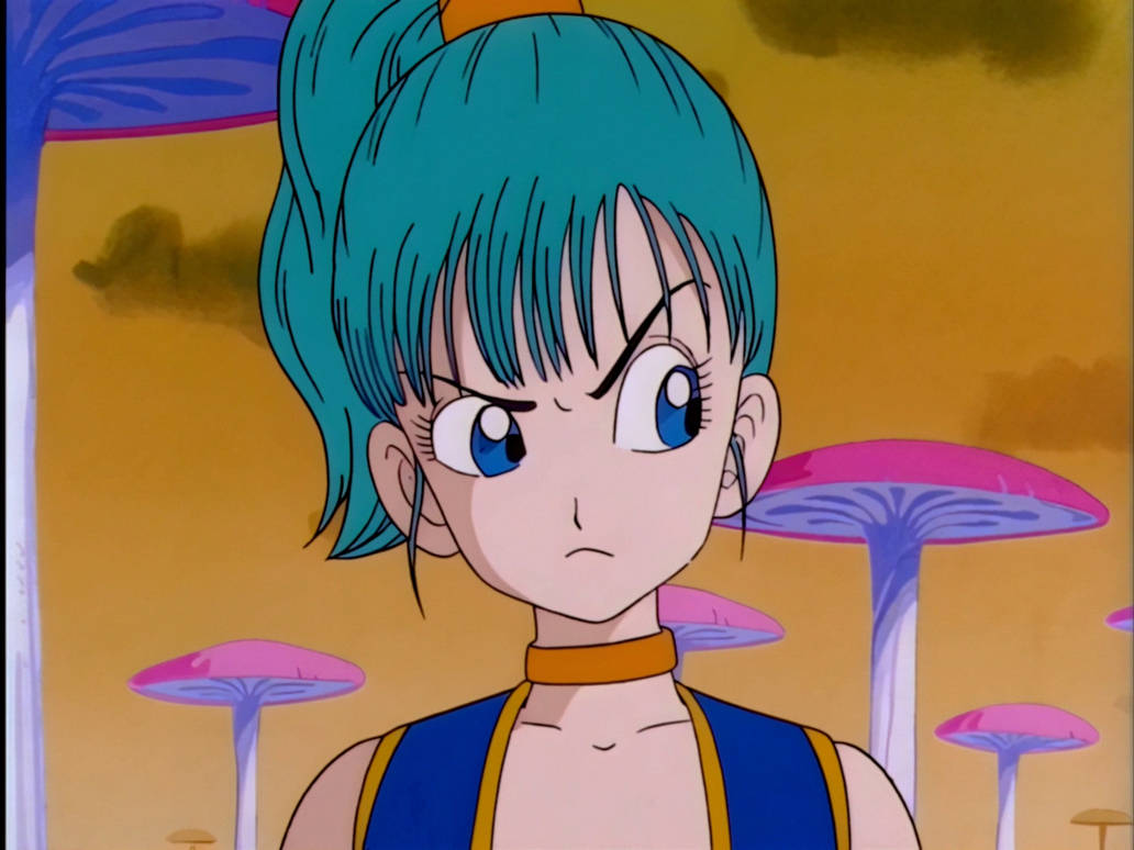 aladdin bulma Blank Meme Template