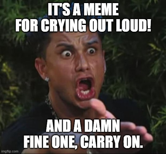 Pauly | IT'S A MEME FOR CRYING OUT LOUD! AND A DAMN FINE ONE, CARRY ON. | image tagged in pauly | made w/ Imgflip meme maker