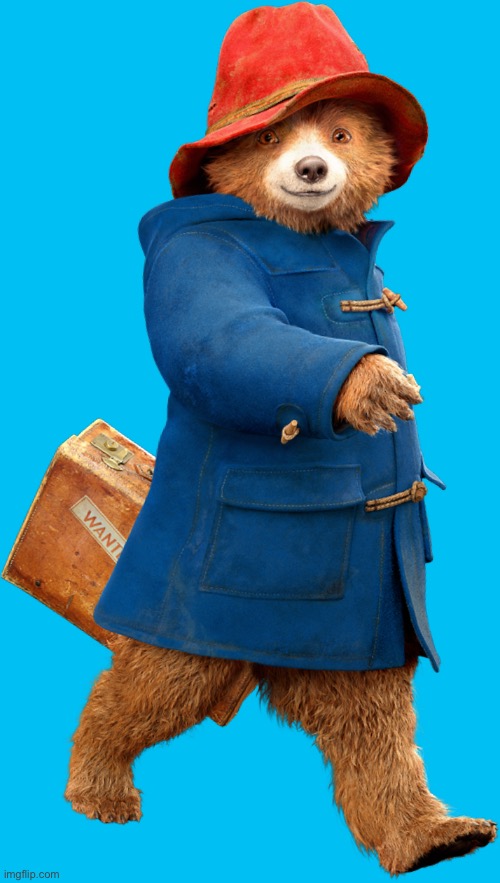 image tagged in paddington bear | made w/ Imgflip meme maker