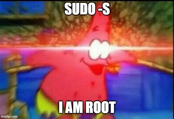 NANI | SUDO -S; I AM ROOT | image tagged in nani | made w/ Imgflip meme maker