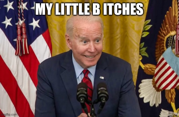 My butt itches. | MY LITTLE B ITCHES | image tagged in my butt itches | made w/ Imgflip meme maker