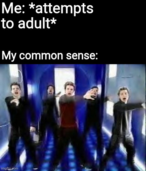 I'm 29 years old and neurodivergent ffs | Me: *attempts to adult*; My common sense: | image tagged in bye bye bye,adulting,adulting is hard,bruh,fr fr,memes | made w/ Imgflip meme maker