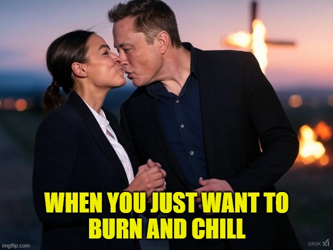 AOC and Elon a match made in heaven | WHEN YOU JUST WANT TO
BURN AND CHILL | image tagged in aoc,crazy aoc,elon musk,nazi,maga,flirting doge | made w/ Imgflip meme maker