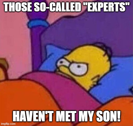 Why parents ignore parenting advice | THOSE SO-CALLED "EXPERTS"; HAVEN'T MET MY SON! | image tagged in angry homer simpson in bed,bart simpson,discipline,parenting,expert,advice | made w/ Imgflip meme maker