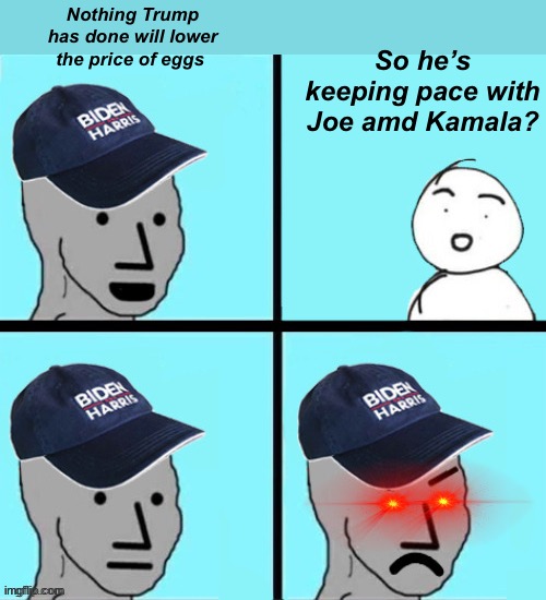 The other guys did nothing to help prices yet you voted for em | So he’s keeping pace with Joe amd Kamala? Nothing Trump has done will lower the price of eggs | image tagged in blue hat npc,politics lol,memes | made w/ Imgflip meme maker