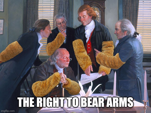 right to bear arms | THE RIGHT TO BEAR ARMS | image tagged in right to bear arms | made w/ Imgflip meme maker