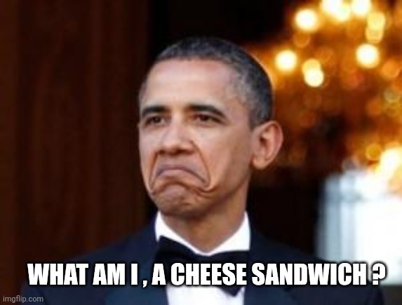 obama not bad | WHAT AM I , A CHEESE SANDWICH ? | image tagged in obama not bad | made w/ Imgflip meme maker