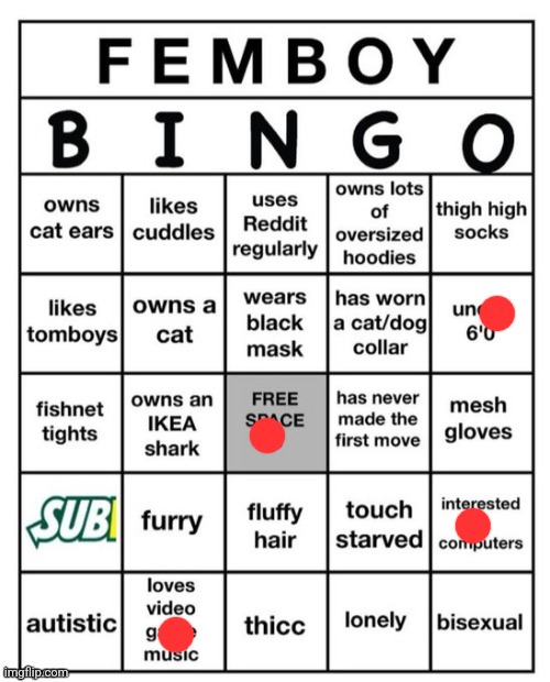 Femboy Bingo | image tagged in femboy bingo | made w/ Imgflip meme maker