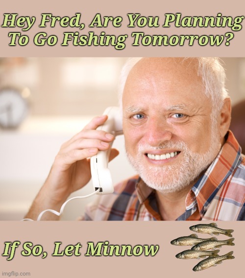 Fishing For Puns. 'Pun weekend' | Hey Fred, Are You Planning To Go Fishing Tomorrow? If So, Let Minnow | image tagged in hide the pain harold phone,pun weekend,minnows,fishing,memes,puns | made w/ Imgflip meme maker