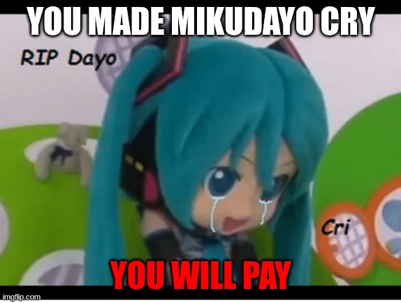 sad mikudayo | YOU MADE MIKUDAYO CRY; YOU WILL PAY | image tagged in sad mikudayo | made w/ Imgflip meme maker