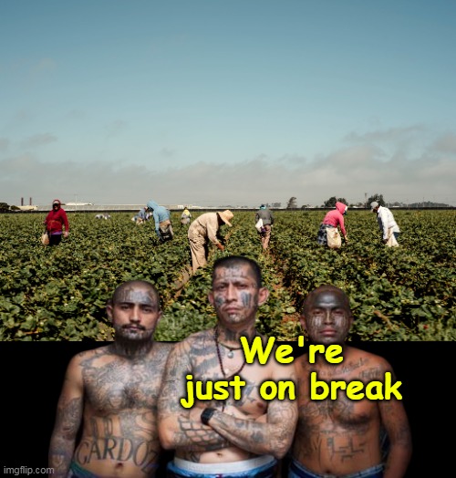 Seems to be plenty of "Migrant Workers" | We're just on break | image tagged in ms 13 migrant workers meme | made w/ Imgflip meme maker