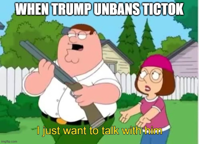 WHEN TRUMP UNBANS TICTOK | image tagged in i just wanna talk to him | made w/ Imgflip meme maker