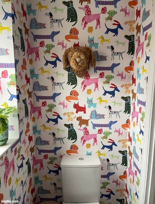 My bathroom looking fabulous fr | made w/ Imgflip meme maker