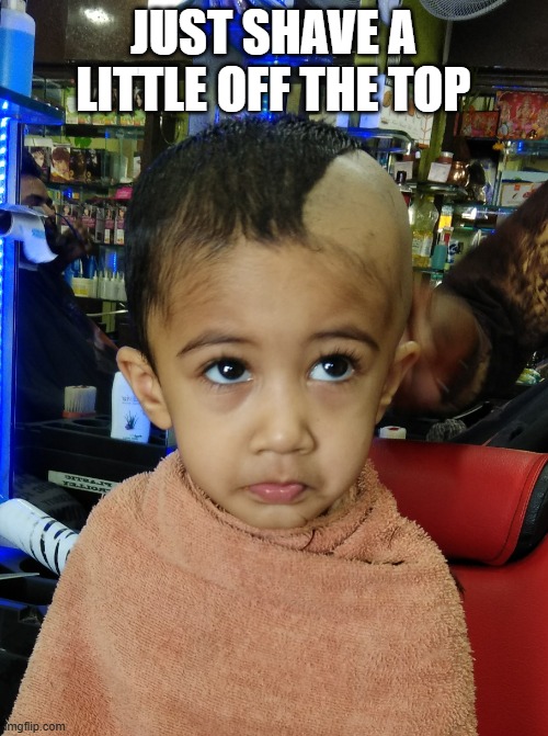 Hair cut | JUST SHAVE A LITTLE OFF THE TOP | image tagged in hair cut | made w/ Imgflip meme maker