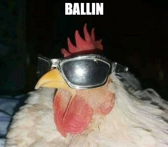 BALLIN | made w/ Imgflip meme maker