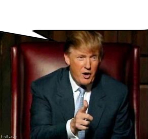 Donald Trump | image tagged in donald trump | made w/ Imgflip meme maker