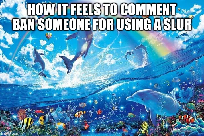 Happy dolphin rainbow | HOW IT FEELS TO COMMENT BAN SOMEONE FOR USING A SLUR | image tagged in happy dolphin rainbow | made w/ Imgflip meme maker