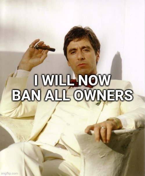 tony montana hd | I WILL NOW BAN ALL OWNERS | image tagged in tony montana hd | made w/ Imgflip meme maker