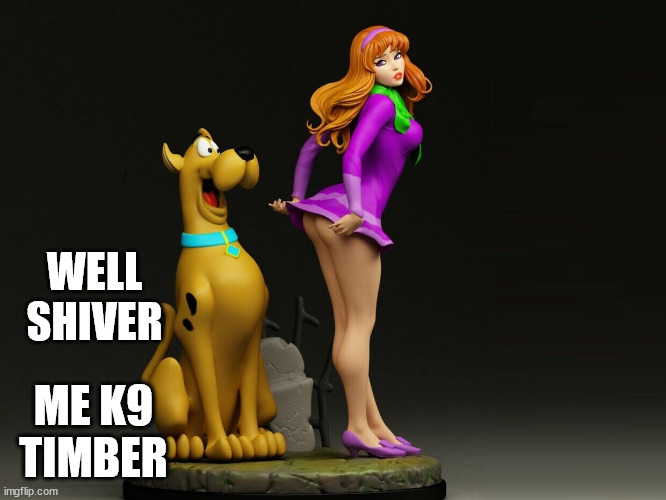 WELL SHIVER; ME K9 TIMBER | image tagged in all in a daze work | made w/ Imgflip meme maker