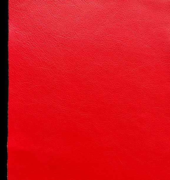 MAGA RED SQUARE Blank Meme Template