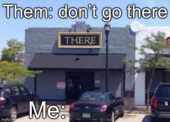 Don’t go there | Them: don’t go there; Me: | image tagged in went there,hello there | made w/ Imgflip meme maker