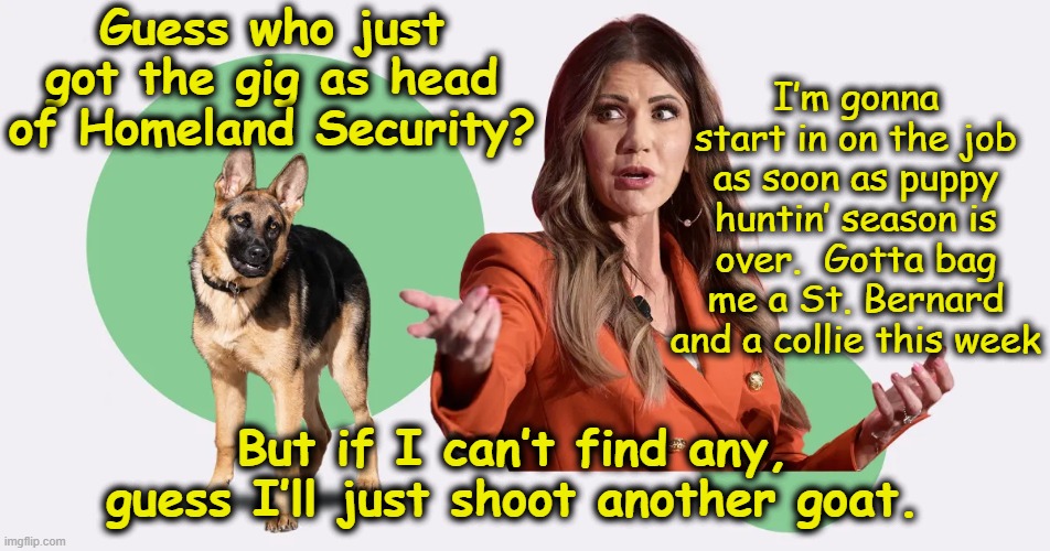 Kristi Noem Ascends | I’m gonna start in on the job as soon as puppy huntin’ season is over.  Gotta bag me a St. Bernard and a collie this week; Guess who just got the gig as head of Homeland Security? But if I can’t find any, guess I’ll just shoot another goat. | image tagged in funny dog memes,hunting season,maga,right wing,national security,basket of deplorables | made w/ Imgflip meme maker