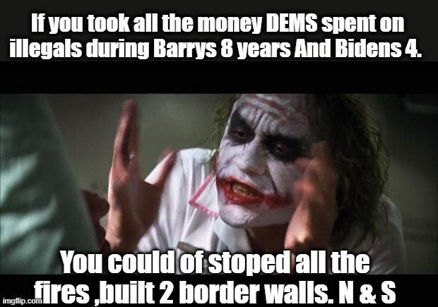 And everybody loses their minds | If you took all the money DEMS spent on illegals during Barrys 8 years And Bidens 4. You could of stoped all the fires ,built 2 border walls. N & S | image tagged in memes,and everybody loses their minds | made w/ Imgflip meme maker