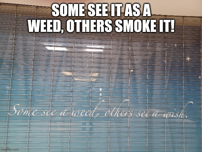 Marijuana | SOME SEE IT AS A WEED, OTHERS SMOKE IT! | image tagged in smoke weed everyday | made w/ Imgflip meme maker