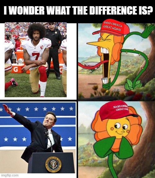 I think I see it, white there. | I WONDER WHAT THE DIFFERENCE IS? | image tagged in cuphead flower,colin kaepernick,elon musk | made w/ Imgflip meme maker