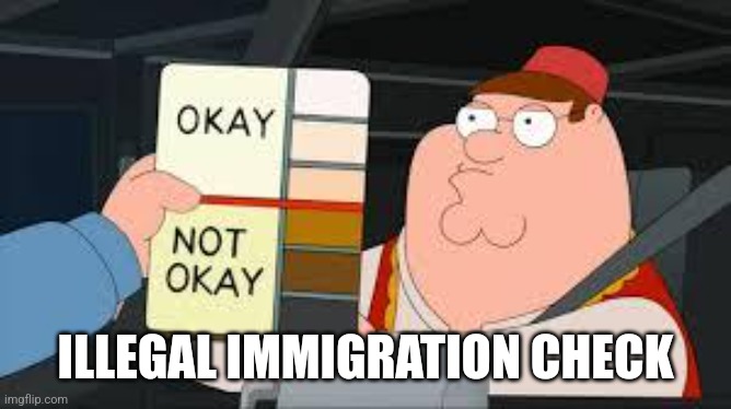 Immigration | ILLEGAL IMMIGRATION CHECK | image tagged in racist peter griffin family guy | made w/ Imgflip meme maker