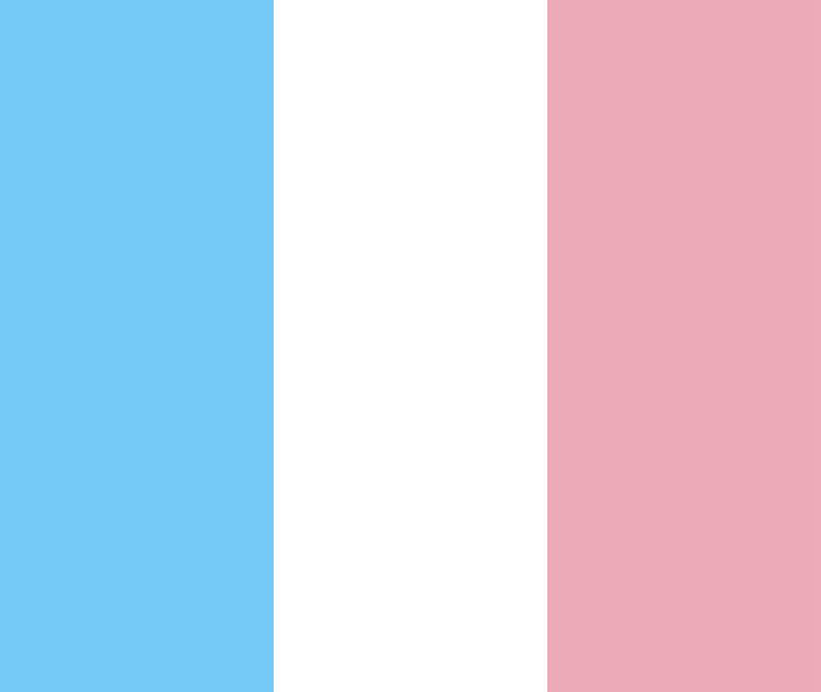 High Quality France trans flag Blank Meme Template